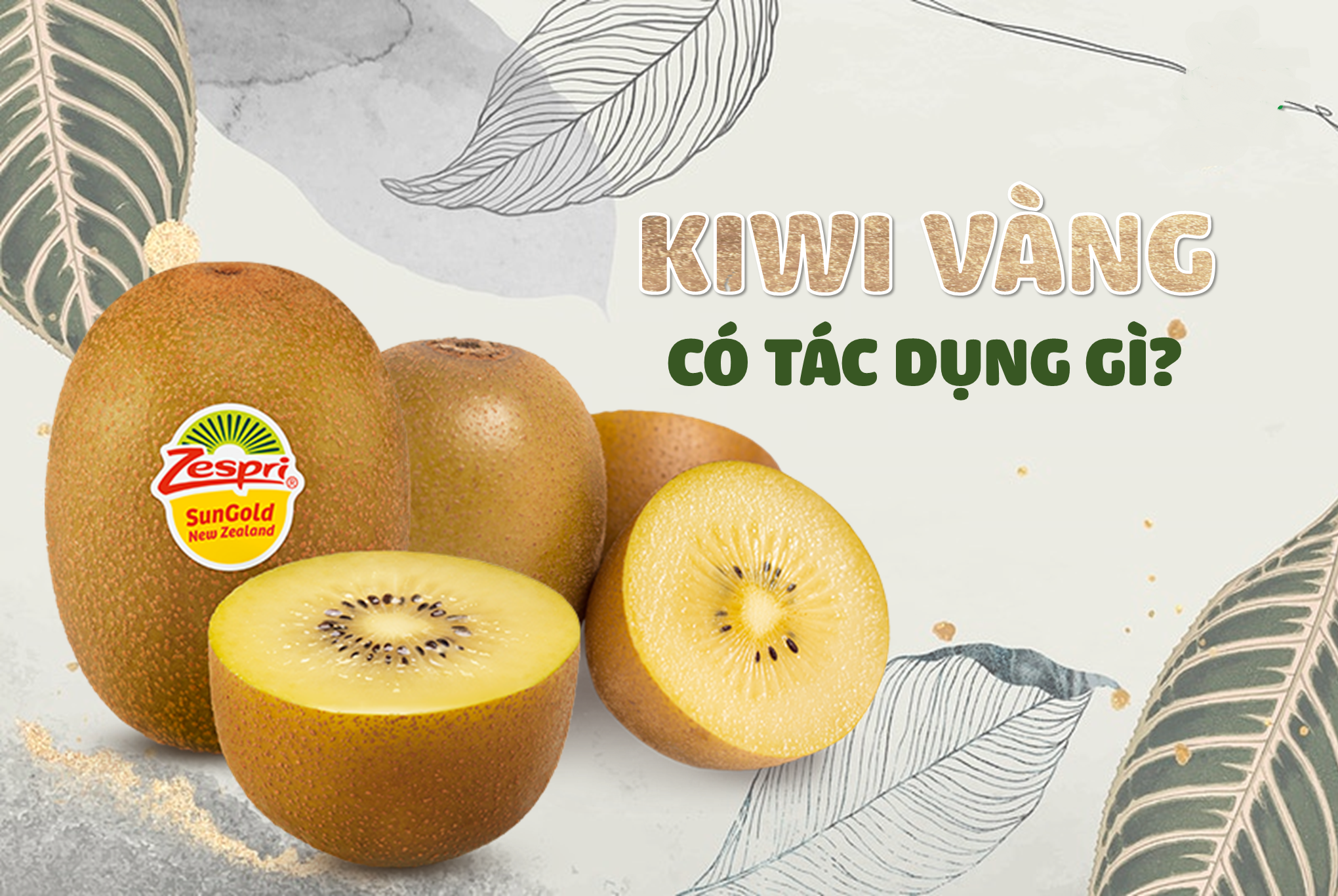 Làm Sao Để Tăng Cường Hệ Miễn Dịch : Một Bí Mật Về Trái Kiwi Được Hé Mở