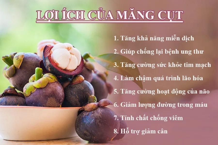 Sự Thật Về Măng Cụt Đà Lạt Mà Bạn Chưa Hề Biết