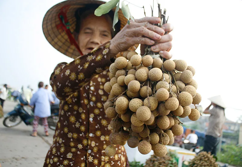 Nhãn Lồng Hưng Yên 4 Cách Để Phát Hiện Thương Hiệu Giả Mạo