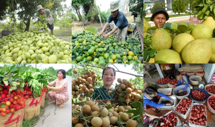 dac-san-trai-cay-mien-trung-lam-say-long-du-khach